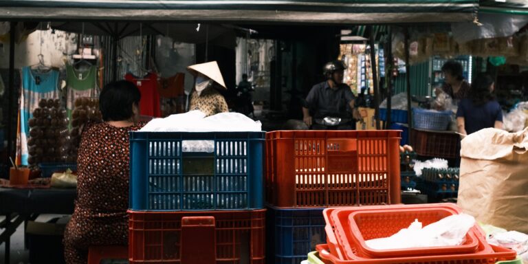 Estratégia revelada: Trader usa robô para operar no mercado financeiro com base em estatísticas