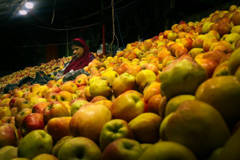 Apple surpreende com resultados acima das expectativas em meio a crescimento nas vendas impulsionado por tarifas