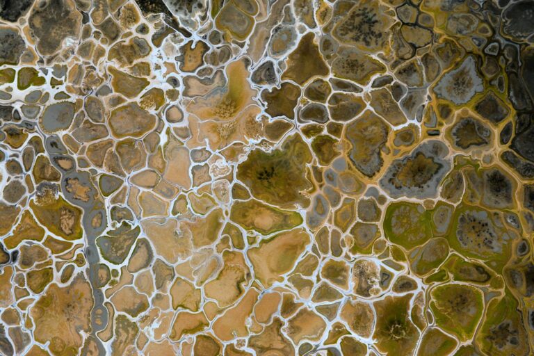 Mergulhando na megadescoberta da BP: impactos para o pré-sal e a Petrobras