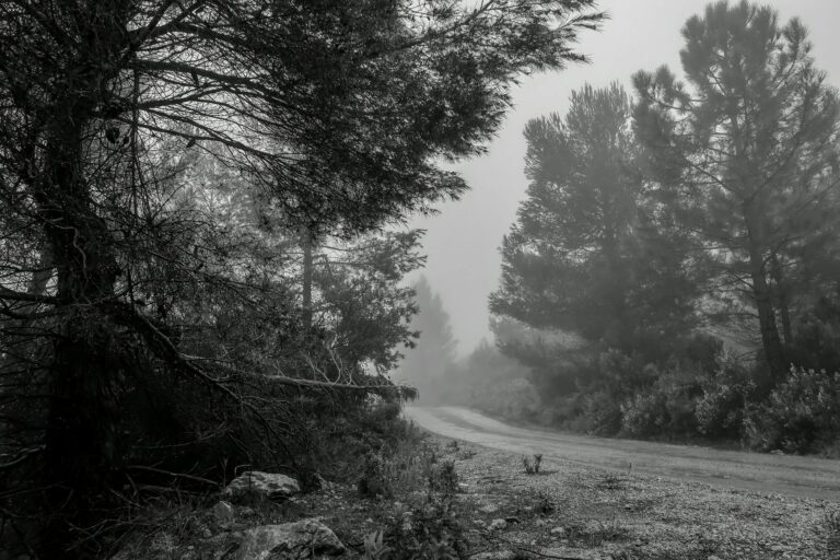 Mercados europeus recuam após impacto positivo do Fed e preocupações com a situação na Ucrânia crescem