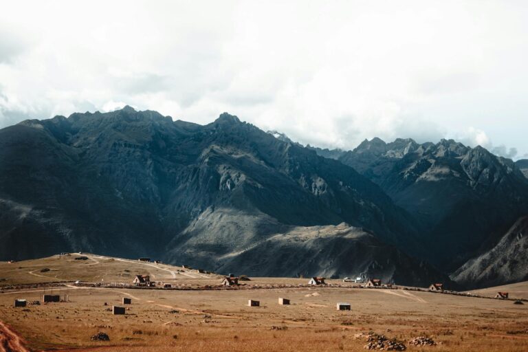 Casas Bahia avança com estratégia de revitalização e supera concorrente no segundo trimestre?