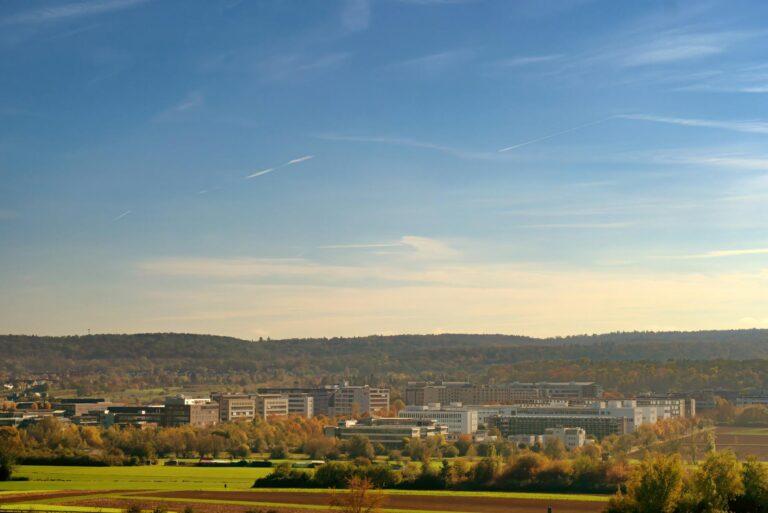 Rumos econômicos divergentes entre Brasil e EUA, possível candidatura de Haddad ao Senado e declarações impactantes de Lula dominam a terceira semana do mês.