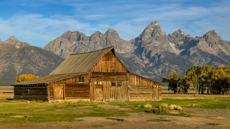 Ibovespa encerra com leve queda, com destaque para Jackson Hole e desempenho da Vale reduzindo impacto financeiro