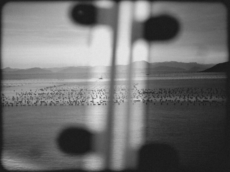 Trump pressiona por renúncia de CEO da Intel devido a relações com a China