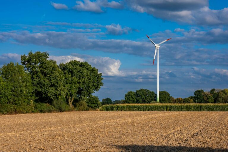 CPFL Energia surpreende ao atingir 100% de matriz renovável antes do previsto