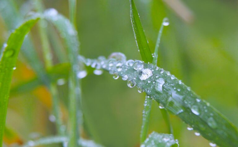 Nível de água em reservatórios da Grande São Paulo diminui 0,2 ponto percentual em apenas um dia, atingindo 37,2% da capacidade total.