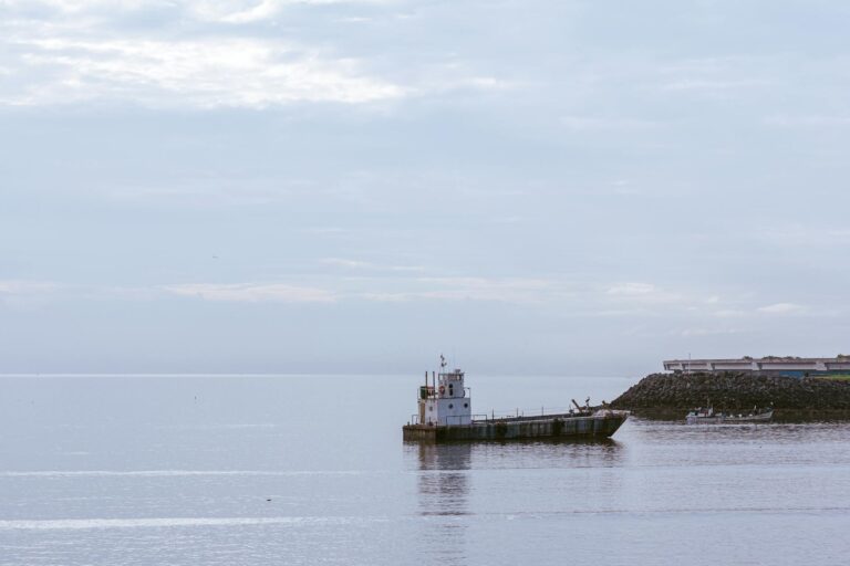 Rede D’Or eleva expectativas de crescimento financeiro em unidades hospitalares; valorização de ações após resultados do segundo trimestre