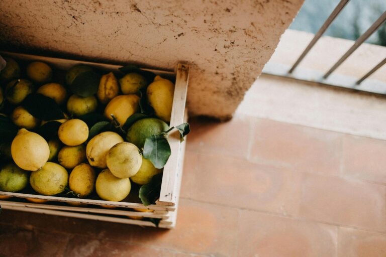 Oferta maior da Opep+ contribui para queda de mais de 3% no preço do petróleo.