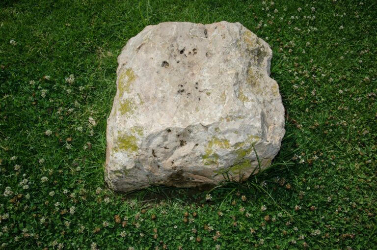 Lula e Trump podem discutir minerais estratégicos e regulação de gigantes da tecnologia