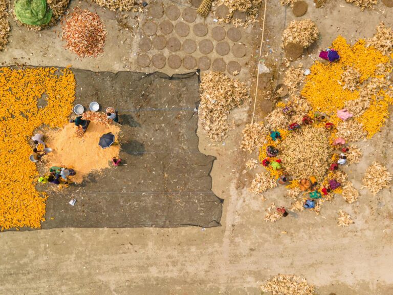 BrasilAgro revela projeções promissoras para a safra 2025/2026