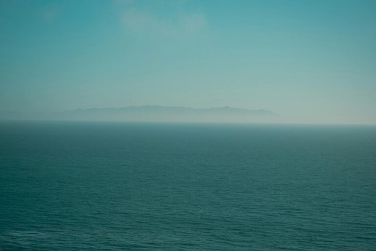 Mercado aguarda desfecho do julgamento de Bolsonaro e decisão sobre juros nos EUA influencia Ibovespa Futuro