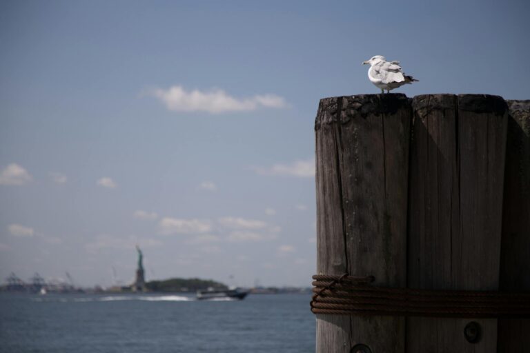 Traders atentos: mini-índice (WINV25) opera sob volatilidade com divulgação do PCE nos EUA