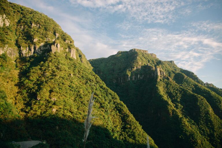 WEG (WEGE3) anuncia plano de investir R$ 1,1 bilhão em expansão industrial em Santa Catarina