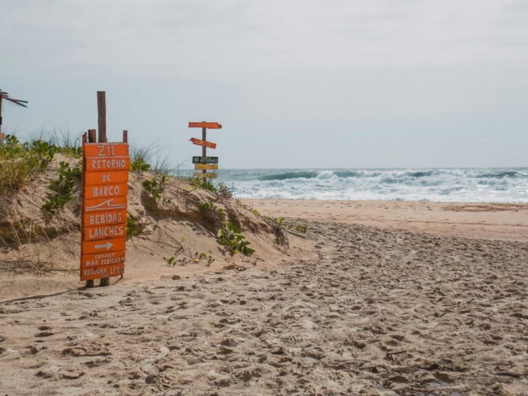 Descubra como o metanol intoxica o organismo e causa mortes por bebidas contaminadas – Imperdível!