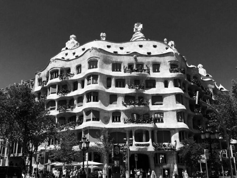 UFC prepara combate épico na residência presidencial em celebração aos 250 anos dos Estados Unidos