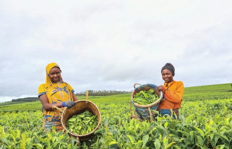 Ibovespa se estabiliza em nível de 144 mil pontos, com pequena queda influenciada por bancos e commodities