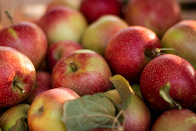 Mercado aguarda desfecho de Galípolo e Dólar cai bruscamente