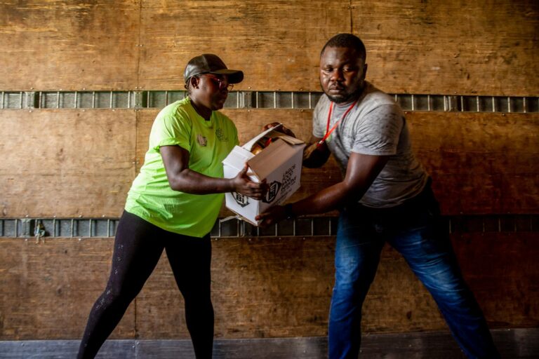 Casas Bahia expande seus horizontes e firma parceria com o Mercado Livre para vendas online