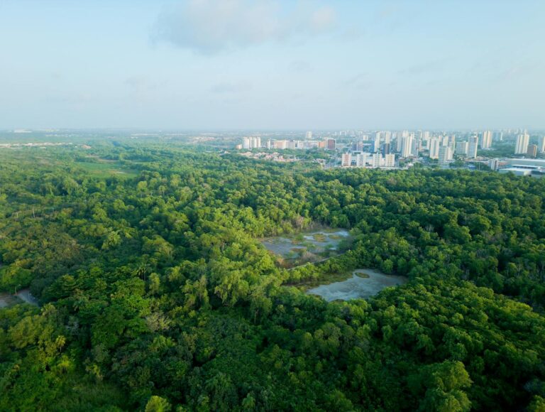 Brasil pode se tornar o epicentro global das soluções sustentáveis, afirma especialista.