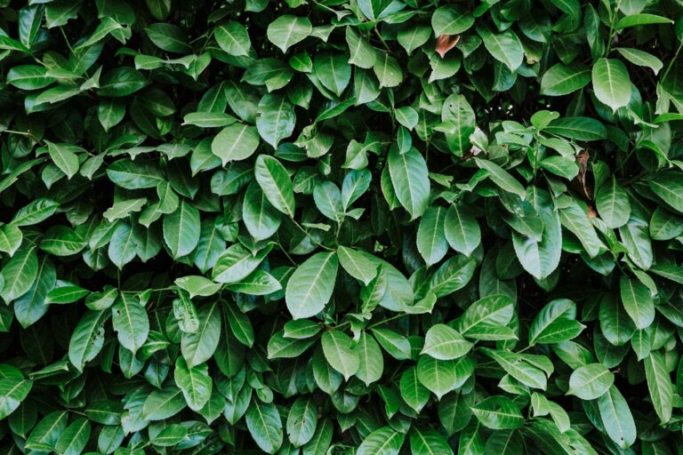 Michael Burry, da película “A Grande Aposta”, encerra oficialmente operações de seu fundo de investimento nos Estados Unidos