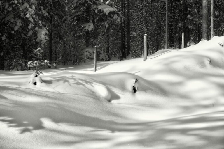 Astronautas chineses regressam à Terra após nave ser atingida por destroços no espaço
