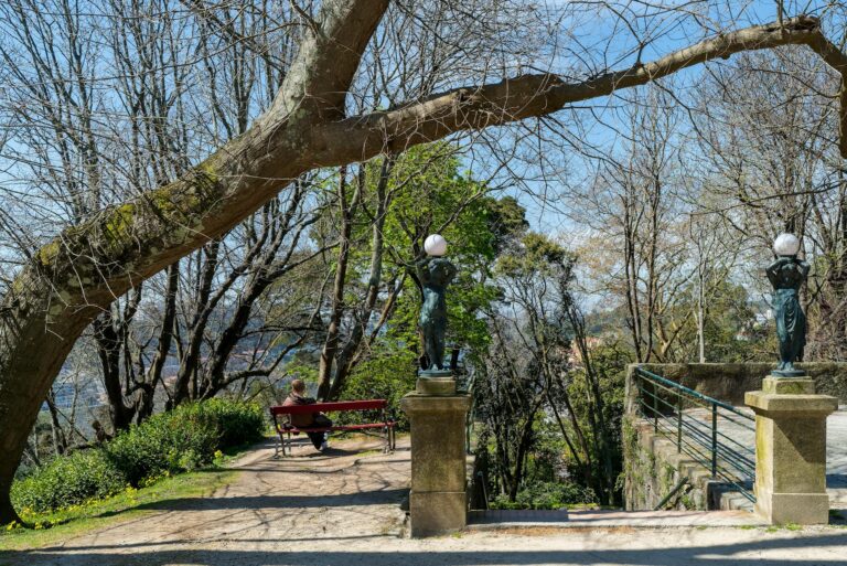 Desvendando o Mercado: Acompanhe em Tempo Real as Novidades da Bolsa, Dólar e Juros neste Dia