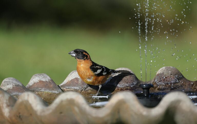 Alertas laranja e amarelo emitidos pelo Inmet abrangem diversas áreas do Brasil; saiba onde há impacto