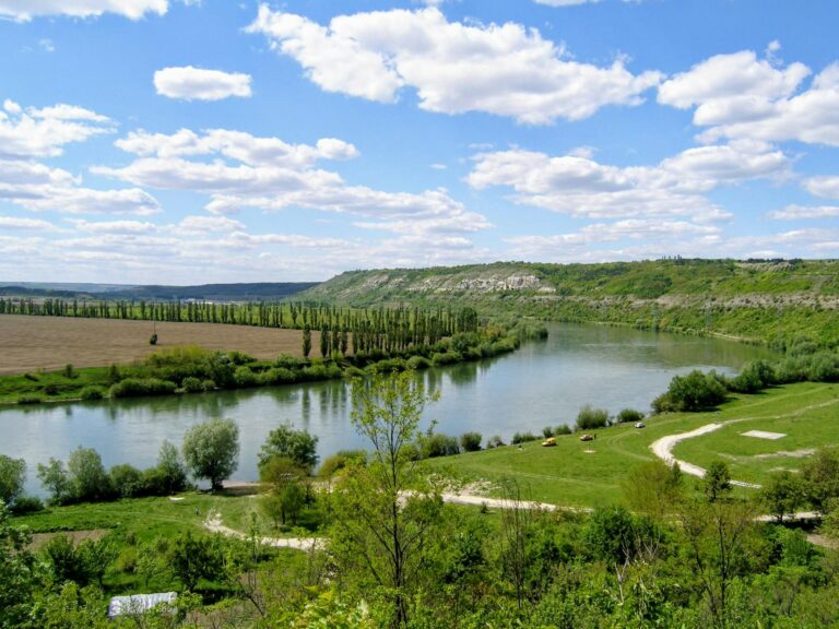 Banco do Brasil prevê redução da inadimplência no agronegócio no primeiro trimestre de 2026