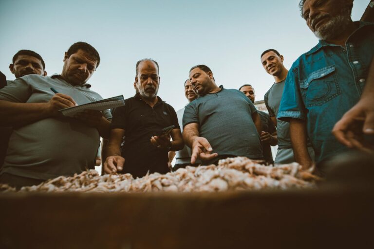 Ibovespa em alta: 5 sessões consecutivas de ganhos e teste de topo; novidades nos minicontratos de hoje (17/11)