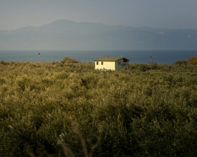Ex-presidente Bolsonaro se dedica a curso de eletricidade online com aparelho de solda
