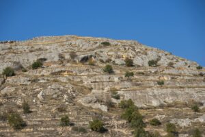 Aliança entre JBS e Grupo Viva dá origem a potência mundial do mercado de couro