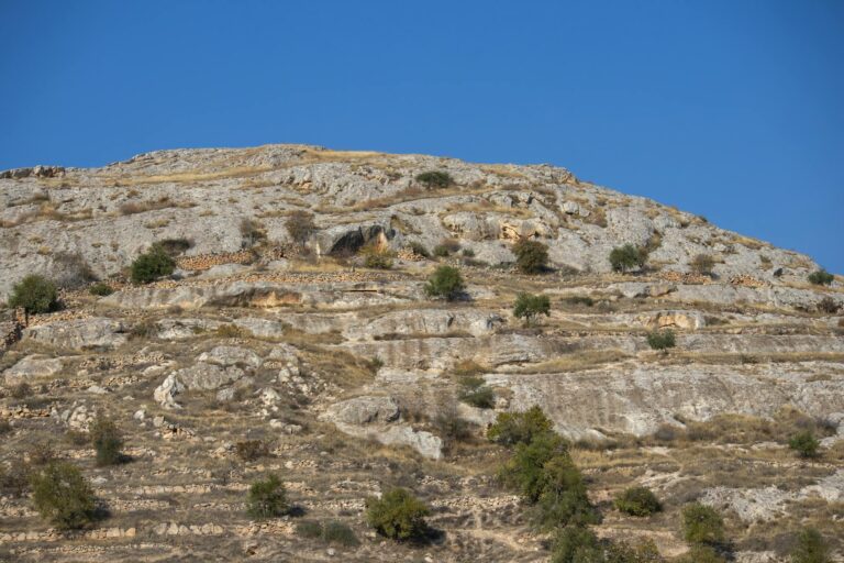 Aliança entre JBS e Grupo Viva dá origem a potência mundial do mercado de couro