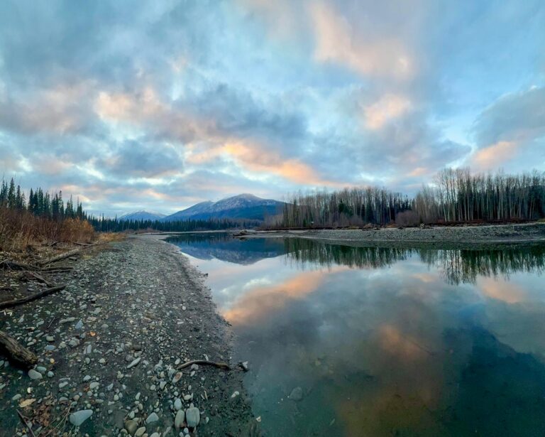 Queda do Ibovespa Futuro é pautada por BC e Petrobras em dia de folga nos EUA