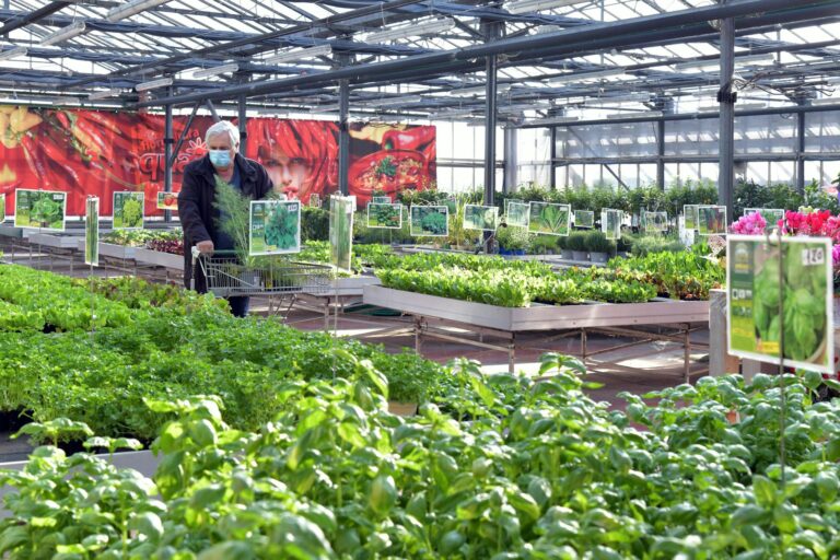 Mercados europeus disparam com decisões de política monetária e perspectivas econômicas otimistas