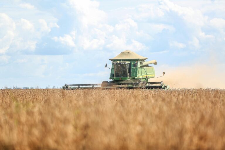 Banco do Brasil investe bilhões em financiamentos para impulsionar o agronegócio na próxima safra