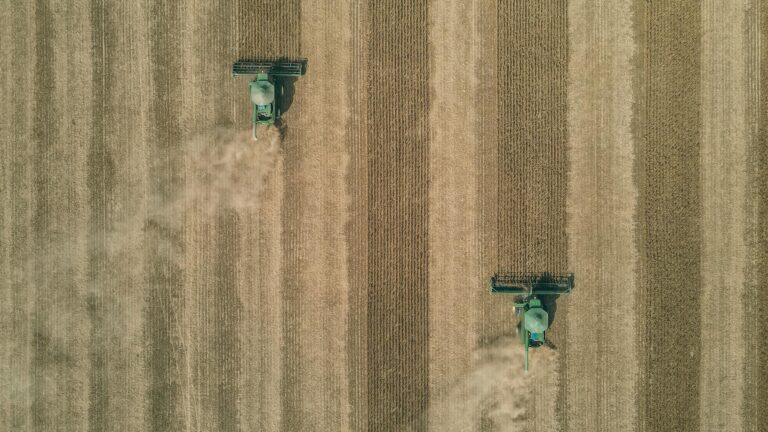 Seara anuncia aporte milionário na produção de aves no Paraná