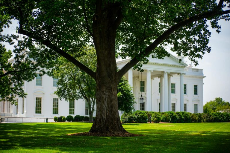 Nasry Asfura, aliado de Trump, vence eleição e se torna presidente de Honduras