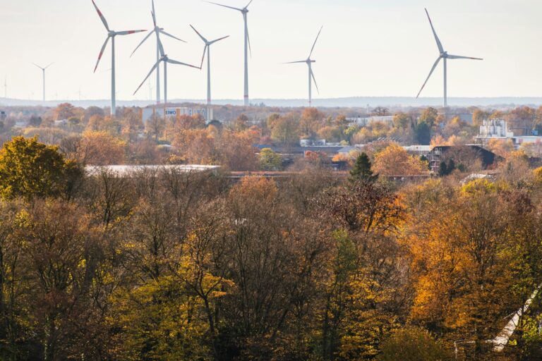 Aliança Energia adquire parque eólico da Pontal Energy e amplia investimentos na Bahia