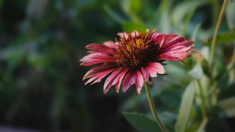 20% dos candidatos não comparecem para provas discursivas da CNU 2025