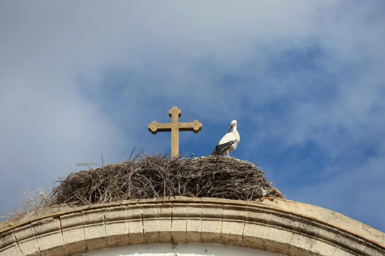 Alegria nos mercados europeus com reação positiva ao corte de juros do Fed
