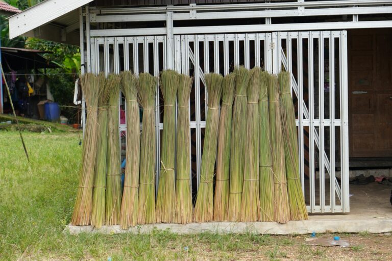 Entrevista de Bolsonaro, IPCA-15 e PIB: Saiba os destaques que agitaram esta terça