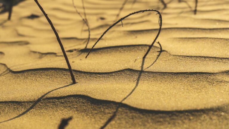 Projeto de Lei da Dosimetria será discutido na CCJ, porém impasse pode impedir votação