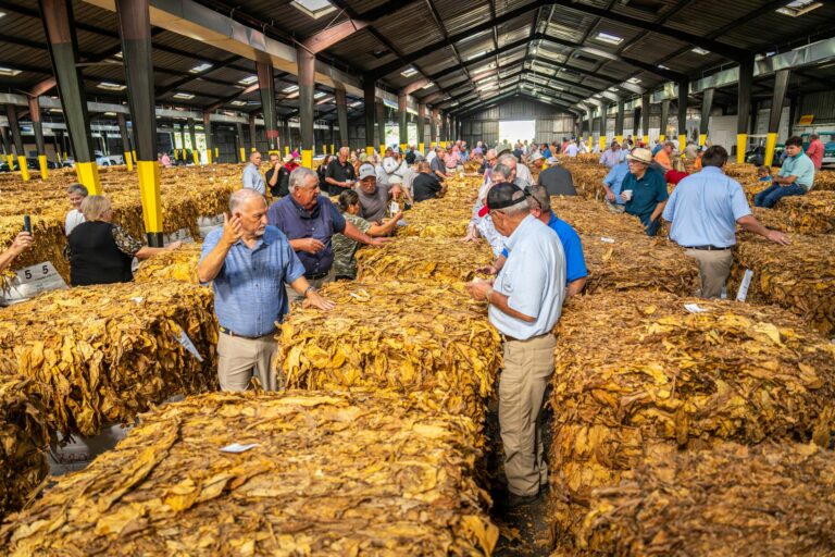 Preços do minério de ferro em queda: demanda desanimada com valores elevados.