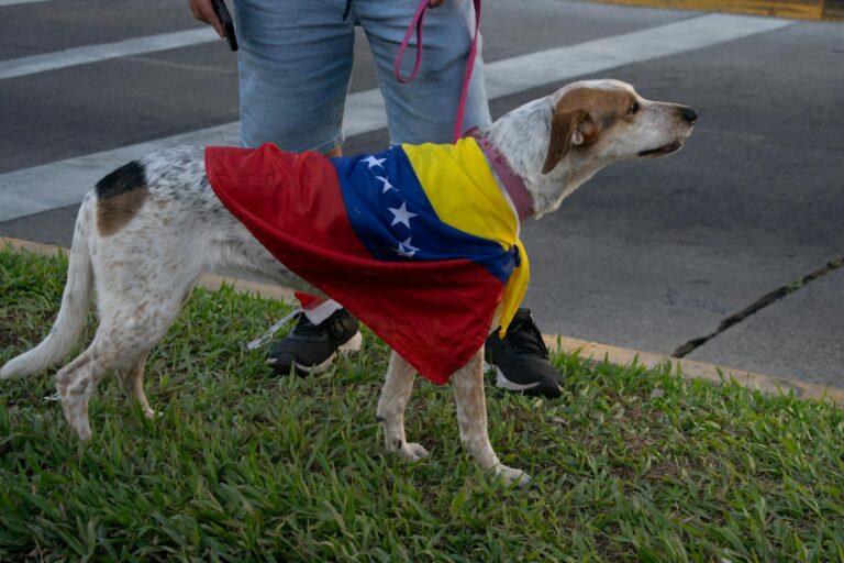 Impacto limitado nos produtores de petróleo americanos devido a ação da Fitch na Venezuela, aponta análise.